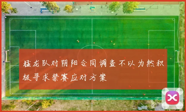 猛龙队对阴阳合同调查不以为然积极寻求禁赛应对方案